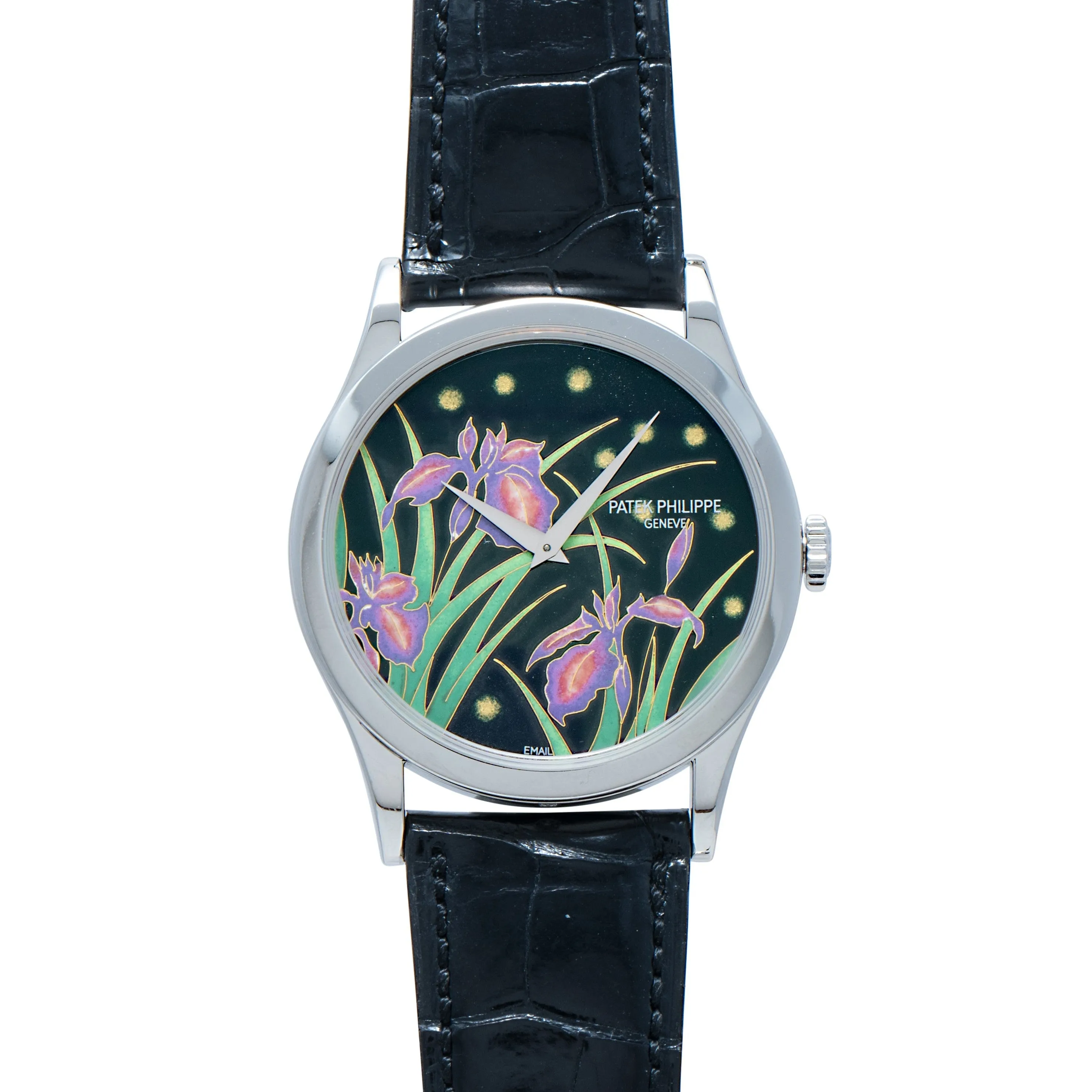 Calatrava Cloisonn 'Iris & Night Fireflies'