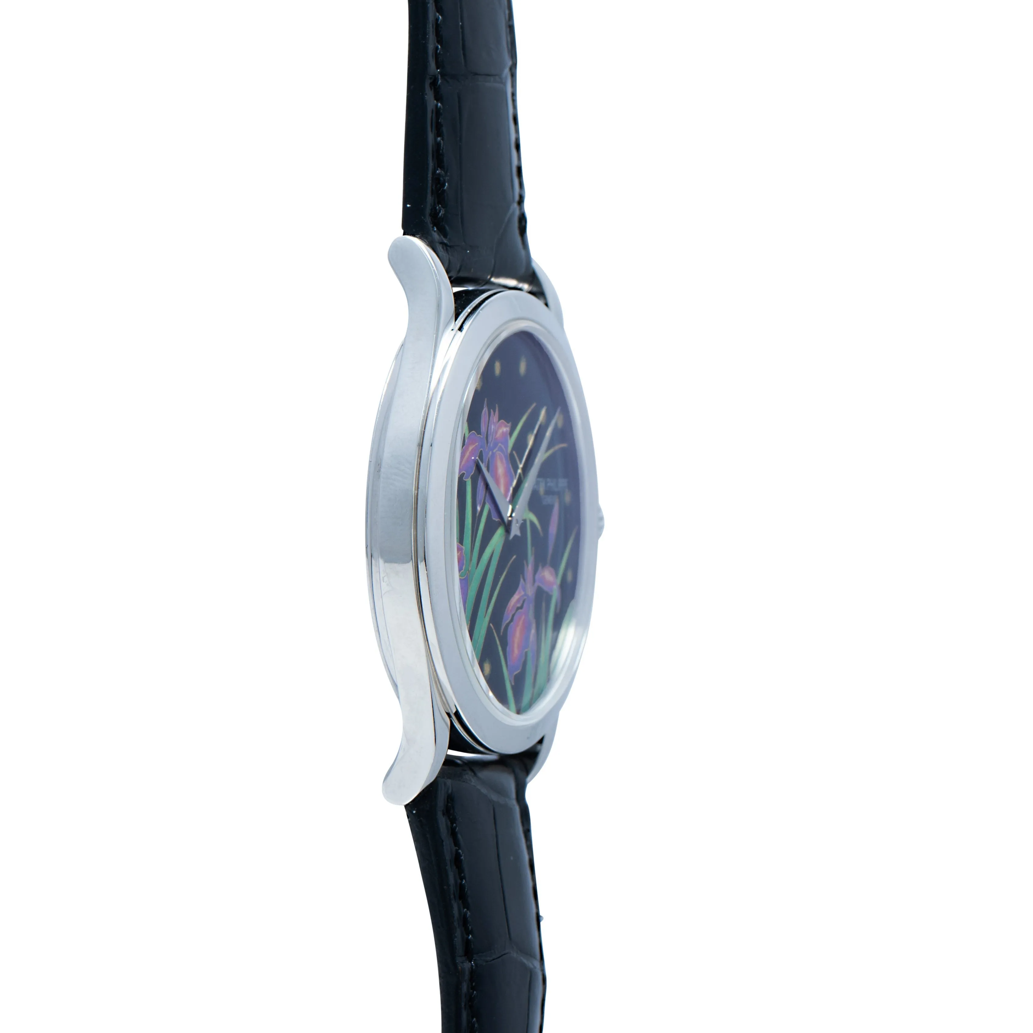 Calatrava Cloisonn 'Iris & Night Fireflies'