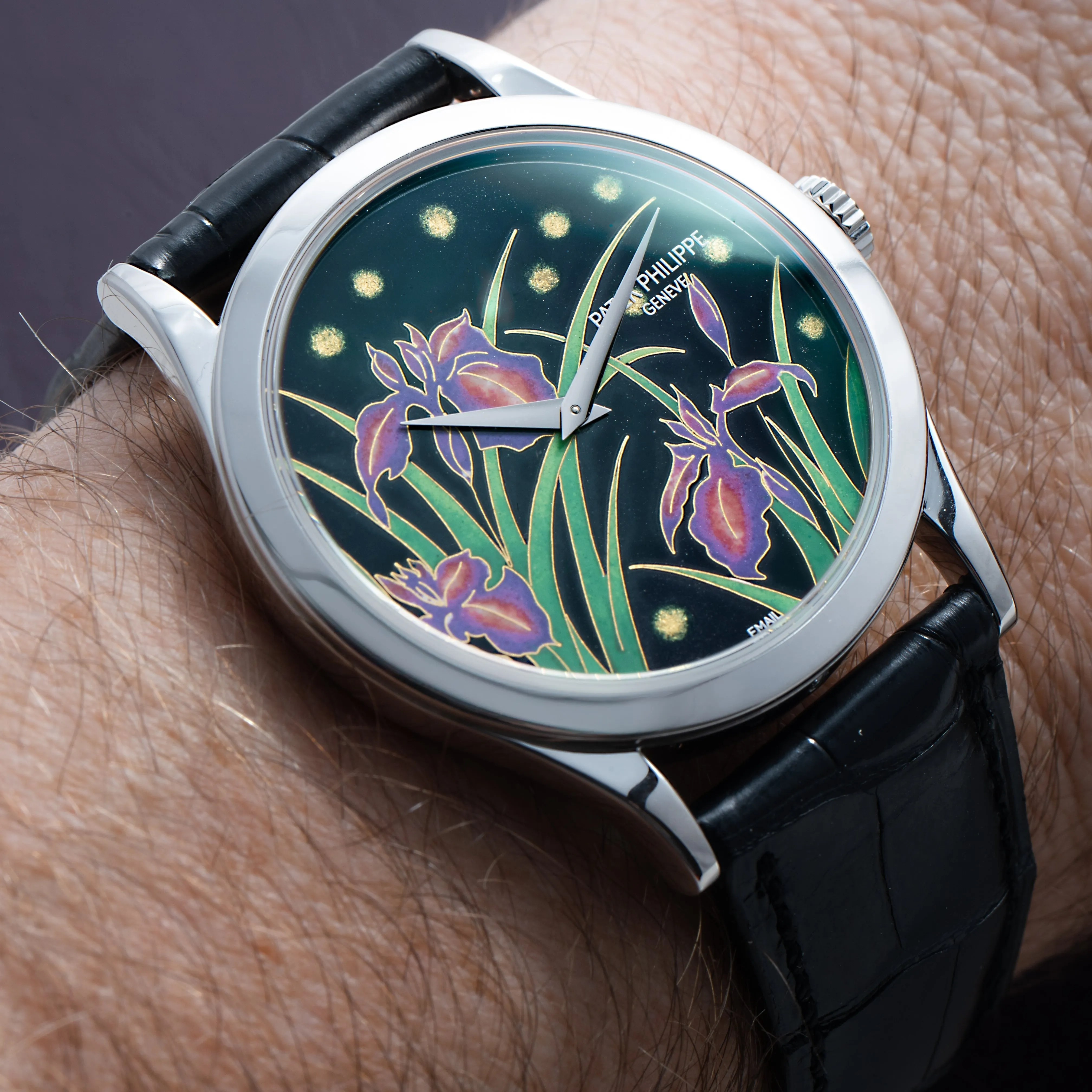 Calatrava Cloisonn 'Iris & Night Fireflies'