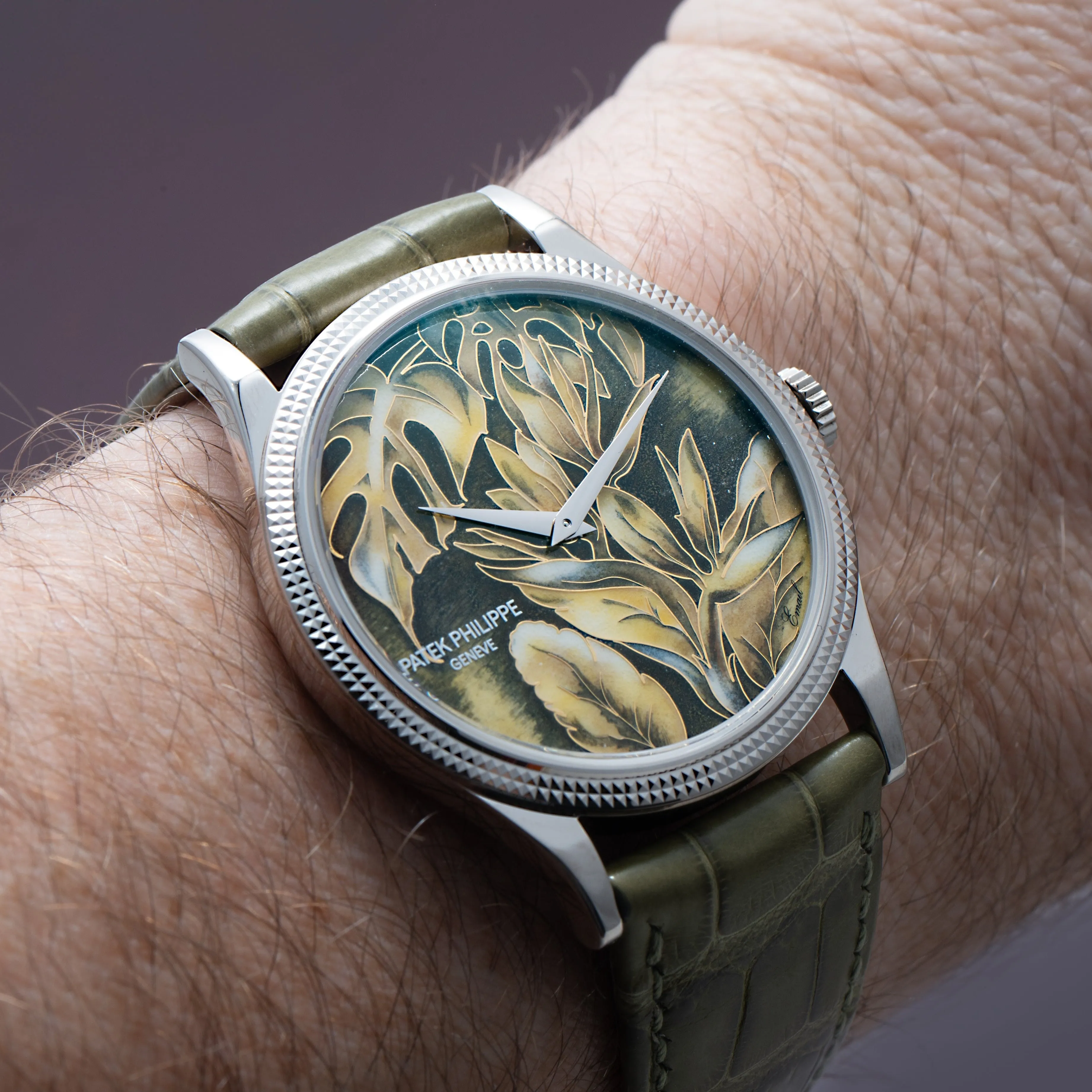 Calatrava Cloisonn 'Tropical Leaves II'